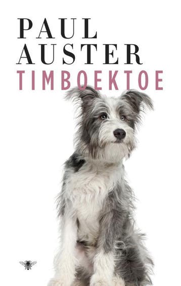 Timboektoe - Paul Auster 9789023493679, Verzenden, Zo goed als nieuw, Paul Auster