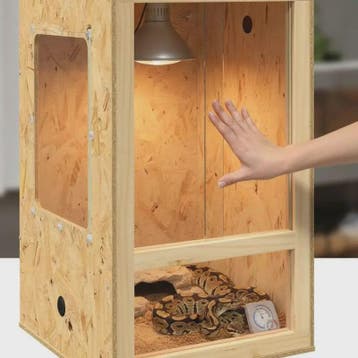 Bruin OSB Terrarium voor Reptielen en Amfibieën - 50x50x80 c, Dieren en Toebehoren
