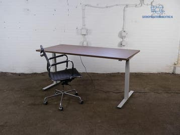 Elektrisch Verstelbaar Bureau Notenblad 180x80 cm Lichtgrijs, Huis en Inrichting, Zit-sta bureau, Gebruikt, Verzenden, Overige merken