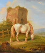 Anthony Oberman - Grazend paard