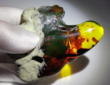Mexicaanse amberfossiel Chiapas!! AAA- 80 g