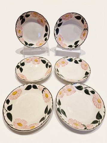 Villeroy & Boch - Bord (6) - Wild-Rose, Wildrose - Porselein, Antiek en Kunst