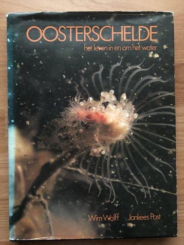 Oosterschelde - Wolff, Verzenden, Gelezen