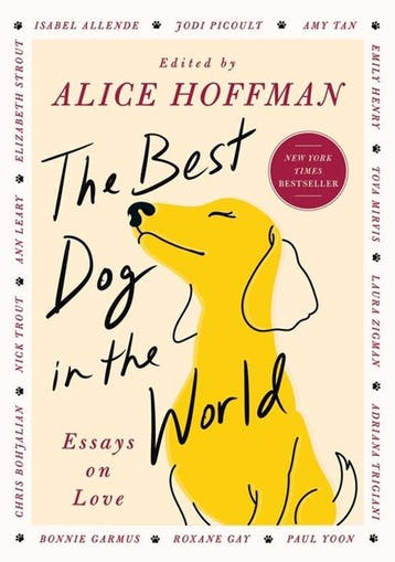 9781668209028 The Best Dog in the World Alice Hoffman, Verzenden, Nieuw, Alice Hoffman