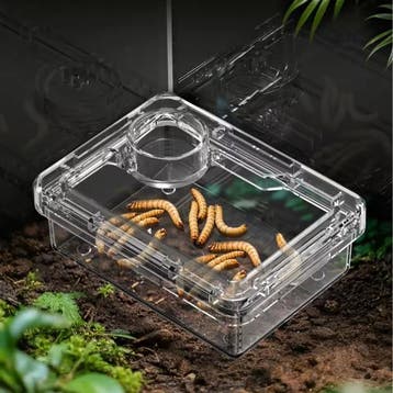 Reptielen Voer- en Waterbak – Anti-Escape Insectenbak Terrar