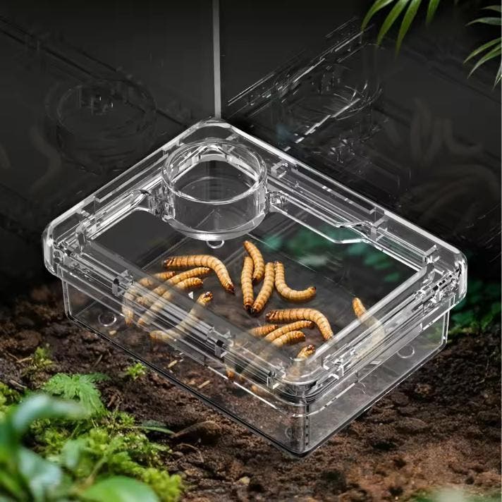 Reptielen Voer- en Waterbak – Anti-Escape Insectenbak Terrar, Dieren en Toebehoren, Reptielen en Amfibieën