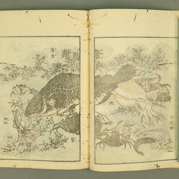 Hokusai Manga   – Fifteenth Volume (Jugohen) Meiji 11