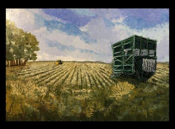 European School (XX) - Harvest Day