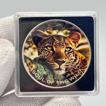 Verenigde Staten. 1 Dollar 2026 Golden Gaze: Soul of the