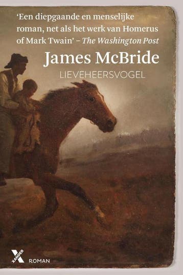Lieveheersvogel - James McBride 9789401602716, Boeken, Verzenden, Gelezen, James McBride