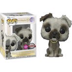 Funko Pop! Walt Disney World 50th   Dog with Keys Flocked, Verzenden, Nieuw