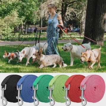 Lange Hondentrainingslijn Nylon - 1.2M tot 30M - Duurzaam &, Dieren en Toebehoren, Verzenden, Nieuw