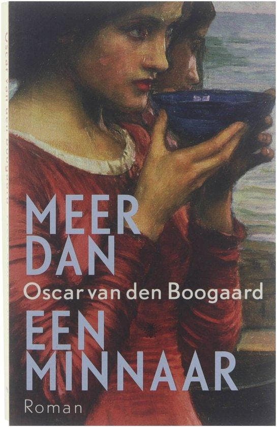 Meer dan een minnaar, Boeken, Literatuur, Ophalen of Verzenden