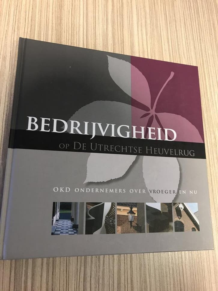 Bedrijvigheid op de Utrechtse Heuvelrug 9789080840041, Boeken, Geschiedenis | Stad en Regio, Zo goed als nieuw, Verzenden