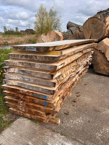 6X Boomstambladen, esdoorn, complete partij 650,- REF 786B, 100 tot 150 cm, Ophalen of Verzenden, Vijf personen of meer, Rechthoekig