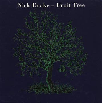 cd box - Nick Drake - Fruit Tree, Verzenden, Zo goed als nieuw