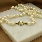 Vintage parelcollier met gouden slot (Ketting), Sieraden, Tassen en Uiterlijk, Kettingen, Gebruikt, Overige kleuren, Ophalen of Verzenden