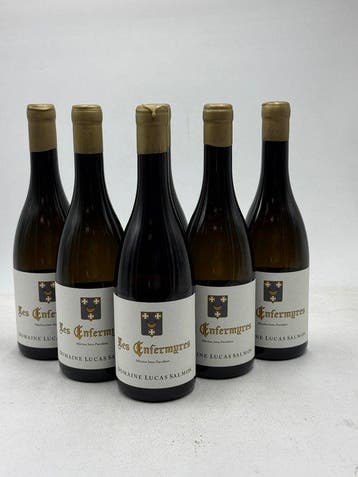 2023 Domaine Lucas Salmon Les Enfermures - Loire - 6, Nieuw