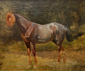 Julius von Blaas (1845-1922) - Studio di Cavallo