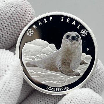 Tuvalu. 50 Cents 2017 – Polar Babies: Harp Seal – 1/2 oz