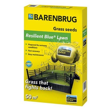 Graszaad | Barenbrug | Resilient Blue Lawn | 50 m², Tuin en Terras, Verzenden, Nieuw