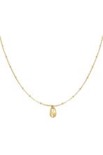 schakelketting met schelp - Goudkleur, Verzenden, Nieuw