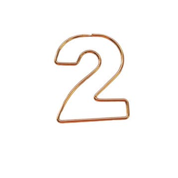 1x Paperclip nummer 2 (Overige Decoratie), Ophalen of Verzenden, Nieuw