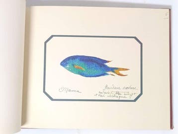 Collectif - Poissons des Lagons de Tahiti et de ses Iles -, Antiek en Kunst