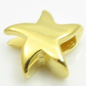 DQ metaal schuiver zeester voor 5mm goud kleur (Nikkelvrij), Ophalen of Verzenden, Nieuw, Overige typen
