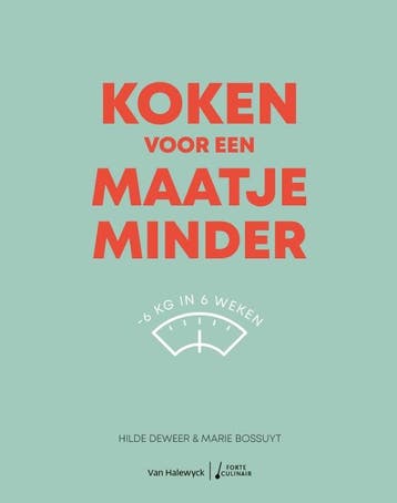Koken voor een maatje minder / Forte Culinair - Hilde Deweer, Verzenden, Zo goed als nieuw, Hilde Deweer