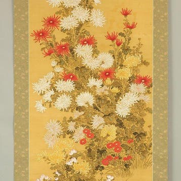 White Red Yellow Chrysanthemum Flowers with Box - with