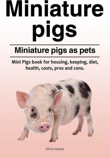 9781788650489 Miniature pigs. Miniature pigs as pets. Min..., Verzenden, Nieuw, Olivia Harper