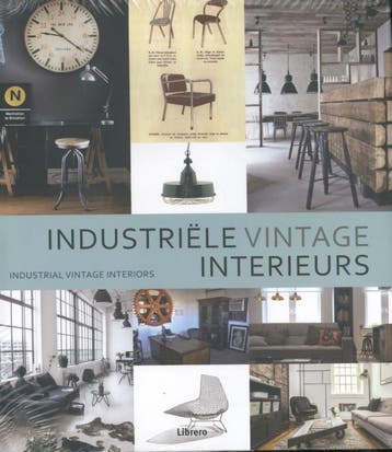 Industriële vintage-interieurs - Maria Eugenia Silva, Verzenden, Gelezen, Maria Eugenia Silva