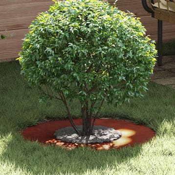 vidaXL geschikt voor platte boomring Roestig Ø30/60 cm, Verzenden, Nieuw, Metaal, 60 tot 100 cm