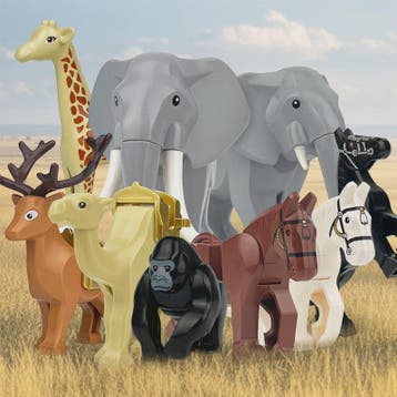 Bouwstenen Dierenpark Speelgoed - Dieren, Voertuigen & Gebou