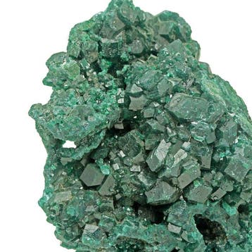 Rijke smaragdgroene dioptase cluster - Hoogte: 10.5 cm -, Verzamelen
