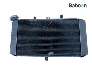Radiateur Kawasaki Z 900 RS 2017-2020 (Z900RS), Verzenden, Gebruikt
