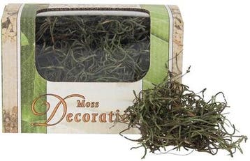Tillandsia spaansmos forestmos mosgroen 20 gram, Ophalen of Verzenden, Nieuw