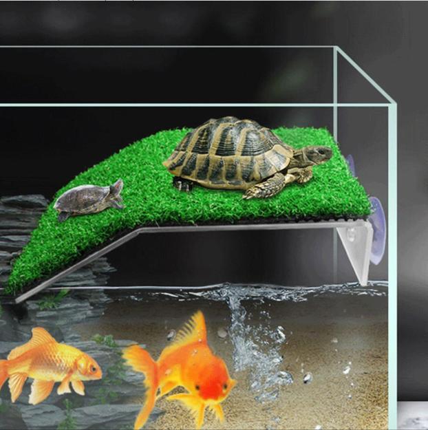 Schildpad Basking Platform met Ramp – Terrarium Zonneplek Turtle photo 7