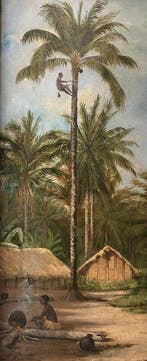 Dr Laurent (XIX) - La récolte du malafou, 1893