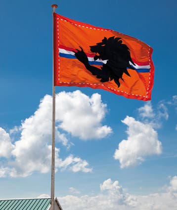 grote vlag, Nieuw