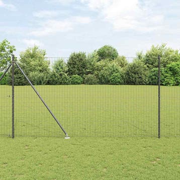 vidaXL Euro-hek met grondpennen 10 x 1,6 m PVC-Coated Staal, Tuin en Terras, Verzenden, Nieuw, IJzer