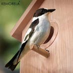 Vogelbroedkast met Kijkvenster – Nestkast voor Parkieten, Dieren en Toebehoren, Vogels | Overige Vogels