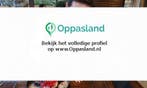 Max zoekt een oppas in Nuenen voor 2 kinderen voor 4 dage..., Vacatures