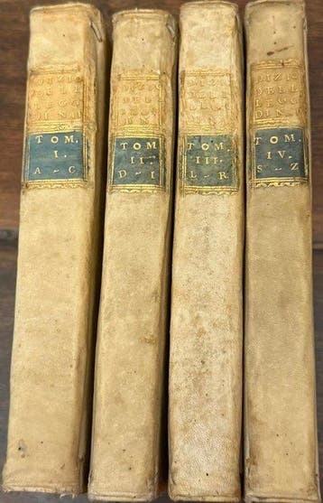 Vincenzo Manfredi - Dizionario delle leggi del Regno di