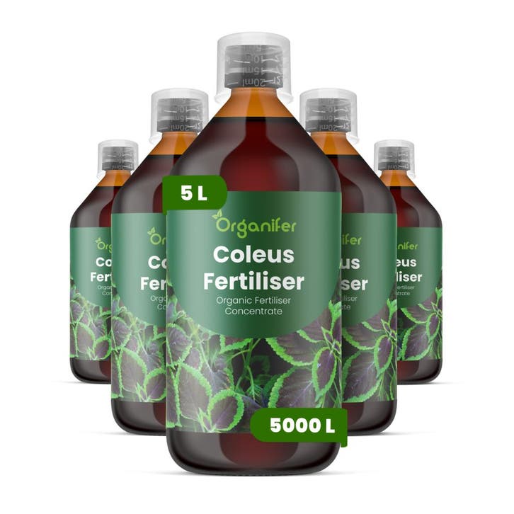 Coleus Vloeibare meststof - 5x1 liter, Tuin en Terras, Aarde en Mest, Mest, Verzenden