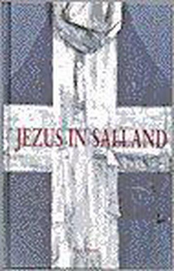 JEZUS IN SALLAND - HEIDEVELD 9789025947644, Boeken, Verzenden, Gelezen, HEIDEVELD