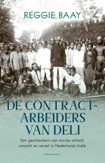 De Contractarbeiders Van Deli | Reggie Baay | Nieuw, Ophalen of Verzenden, Nieuw, Reggie Baay