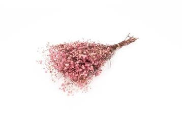 Geprepareerd Gepreserveerd Gipskruid Berry Roze 60 cm 55 gr, Ophalen of Verzenden, Nieuw