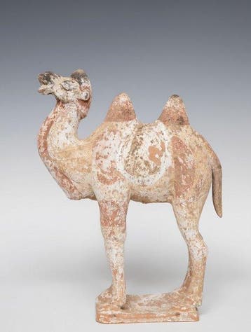Oud Chinees, Tang-dynastie Terracotta Camel Met Spaanse